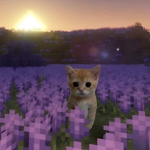 pfp funny cat mischievous