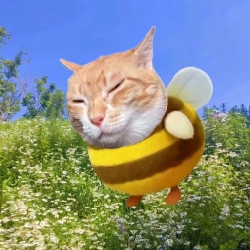 cool funny cat pfp relaxed