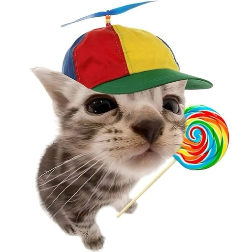 cute and funny cat pfp happy