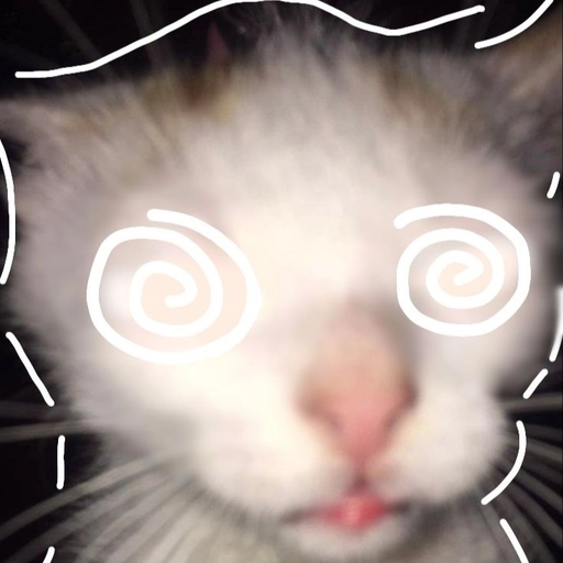 funny cat pfp for discord happy