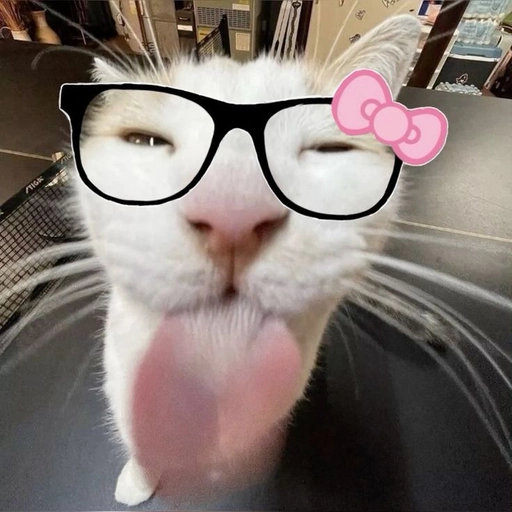 cute and funny cat pfp sleepy