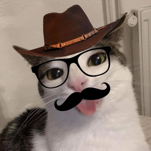 funny cat pfps in hat