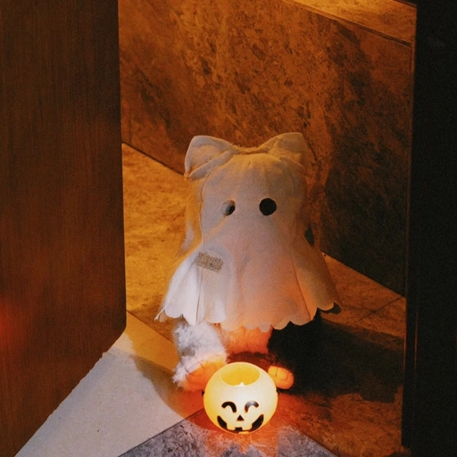 cute cat aesthetic halloween pfp