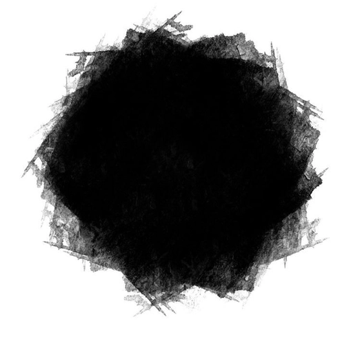 aesthetic flower pfp border