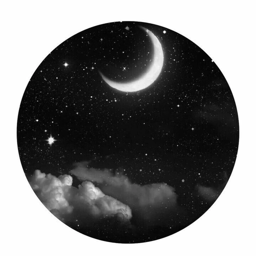 black circle pfp style