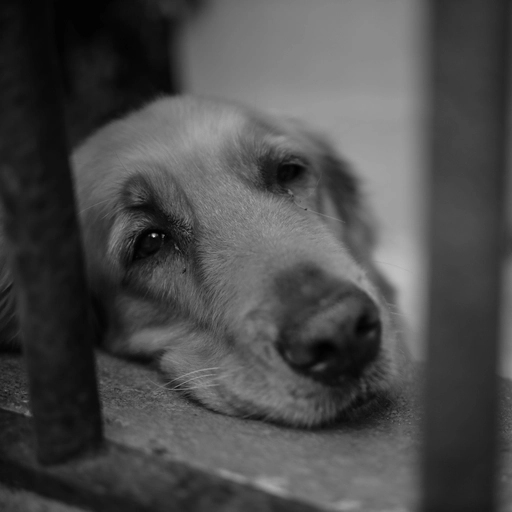 sad moody profile picture