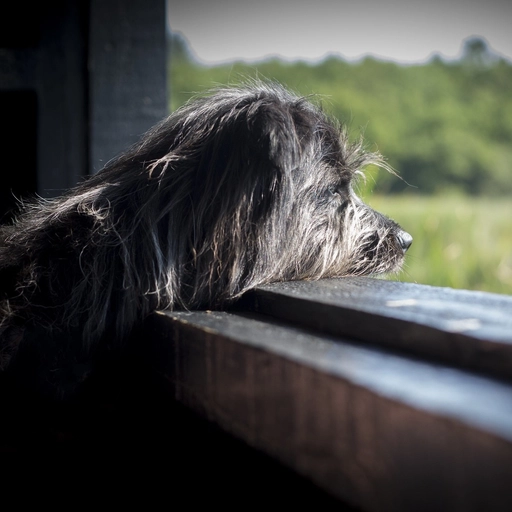 wallpaper sad tiktok pfp