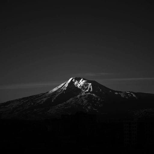 sharp and vibrant 4k profile picture