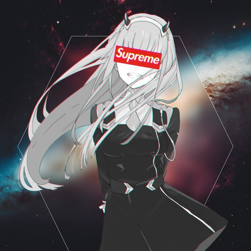 zero two pfp fighting