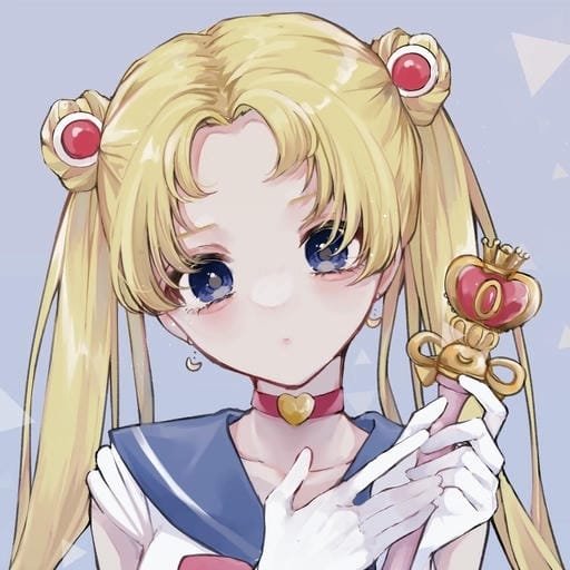 Sailor Moon anime PFP