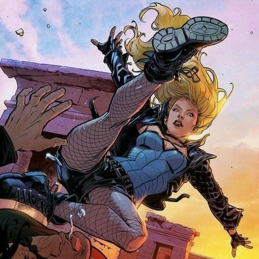 aesthetic black canary pfp