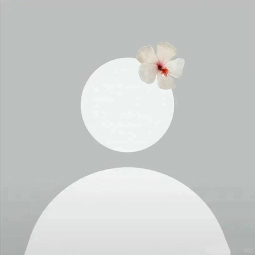 anonymous pfp profile