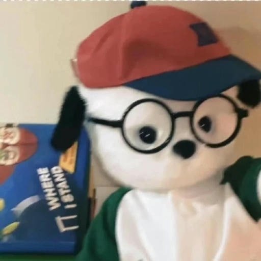 chill guy wallpaper urban