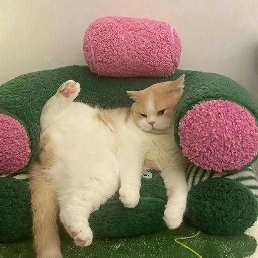 chill profile pictures aesthetic edit