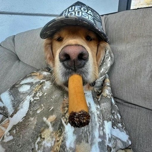 chill profile pictures for guys