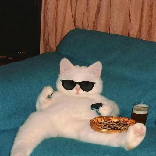 chill profile pictures modern