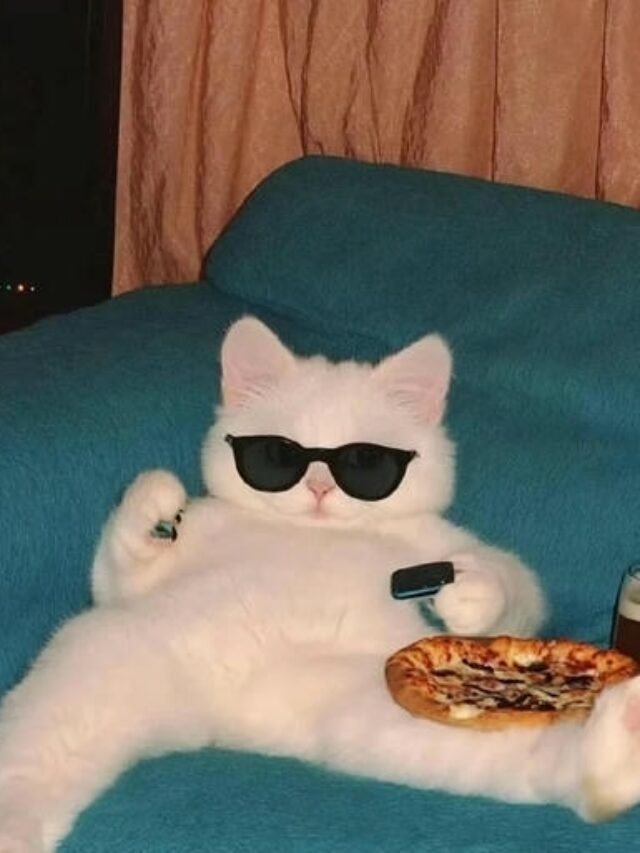 176+ Chill PFP to boost your calm and aesthetic vibe