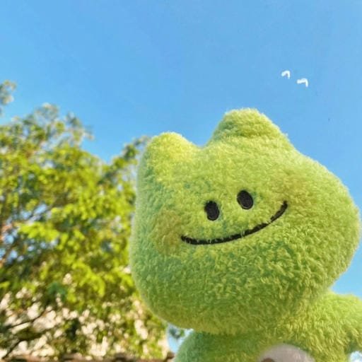 froggy profile picture wearing hat