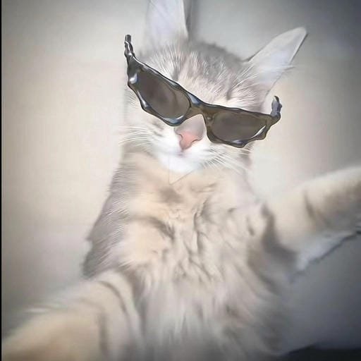 sigma profile pic cinematic look