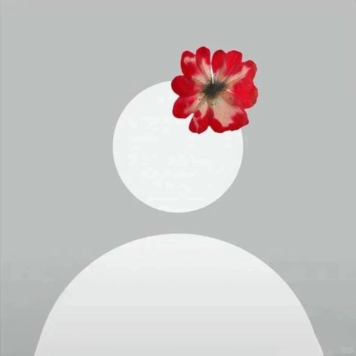 stylish anonymous pfp