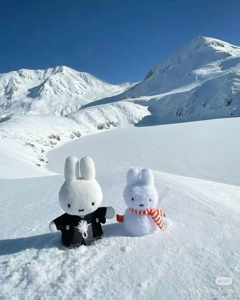 Blue hour snowy forest landscape perfect winter aesthetic pfp