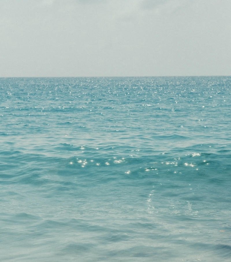 Calm sea surface with sunlight ocean aesthetic pfp avatar