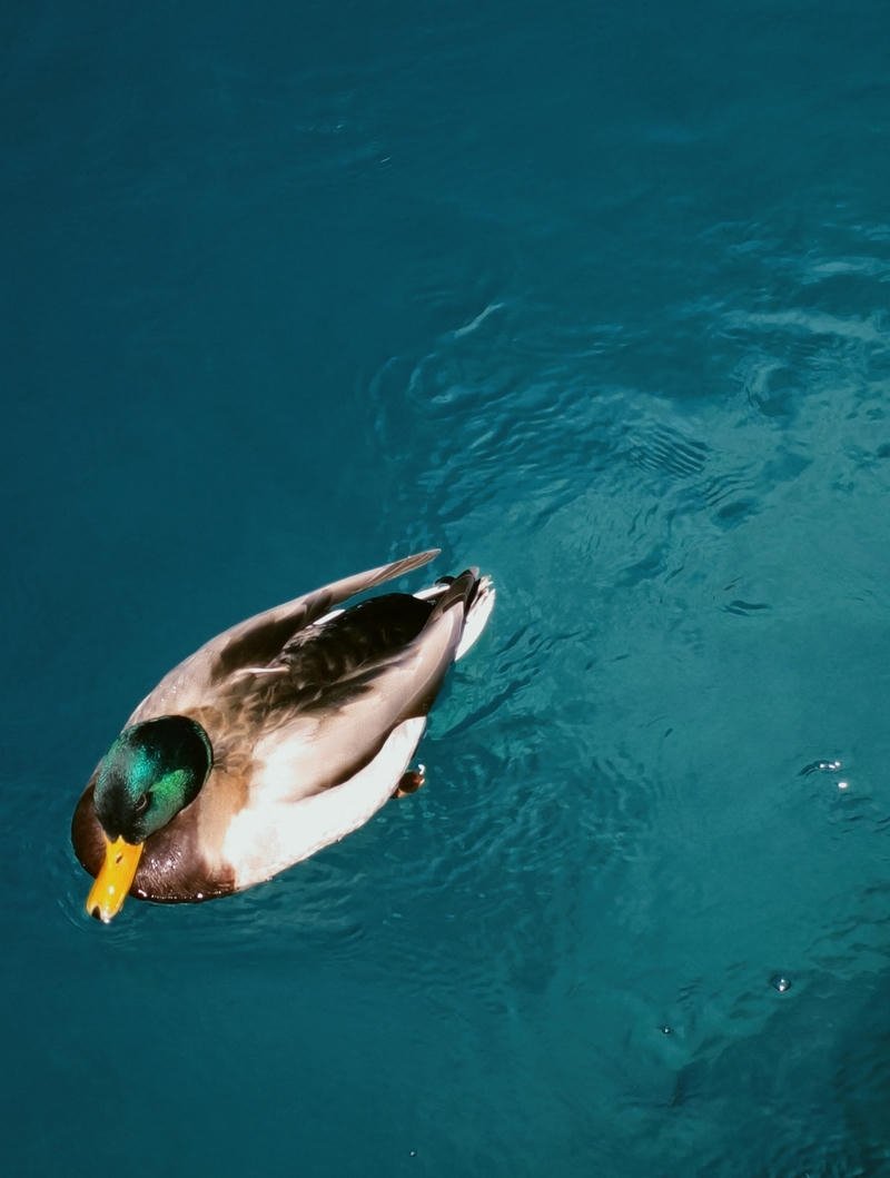 Calm seaside evening vibe perfect ocean aesthetic pfp