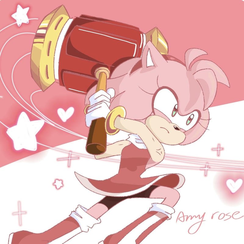 Cool Amy Rose portrait perfect profile avatar Amy Rose pfp