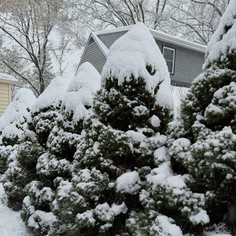 Cute mittens and snow background perfect winter aesthetic pfp