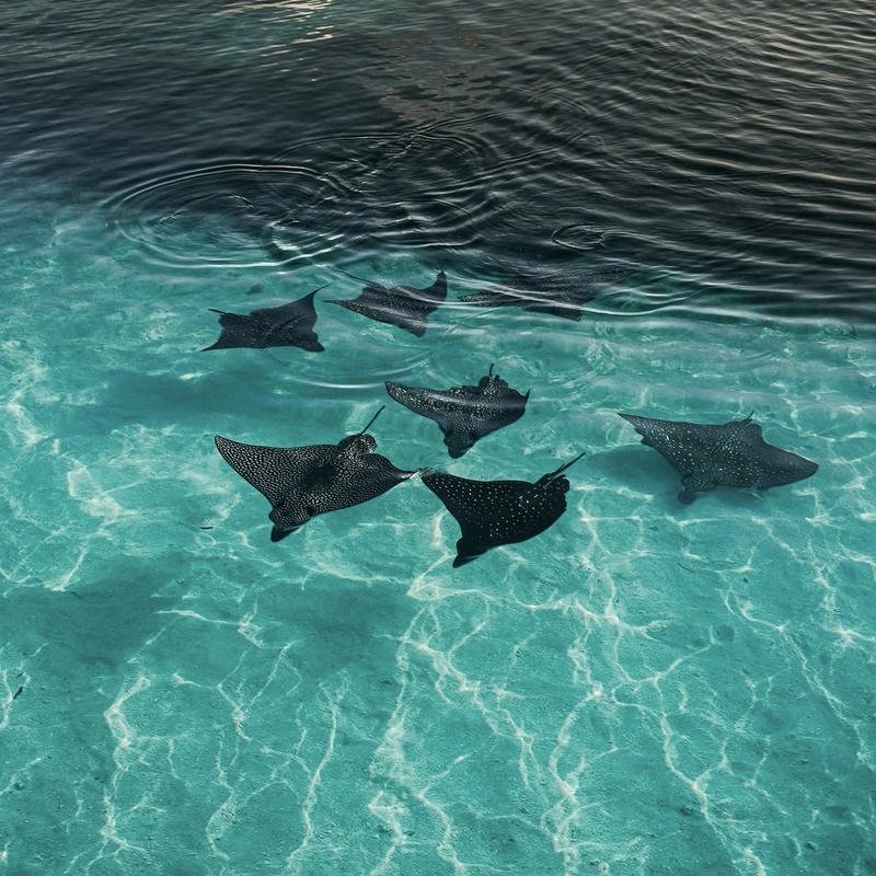 Dreamy calm sea scenery perfect ocean aesthetic pfp