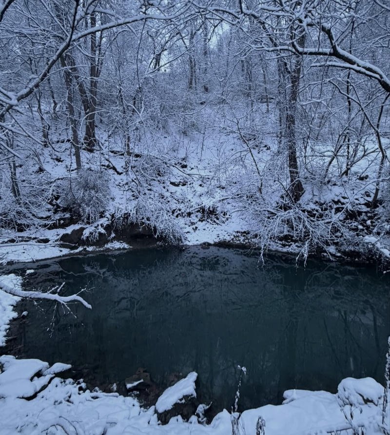 Frozen river with snowy forest background winter aesthetic pfp