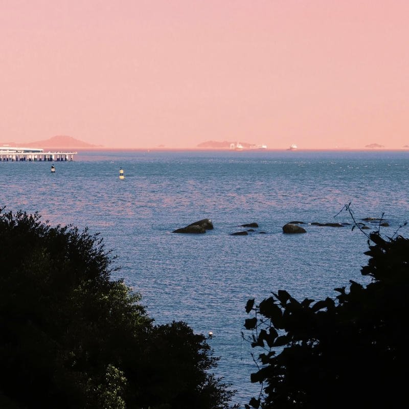 Golden beach sunset portrait creating ocean aesthetic pfp