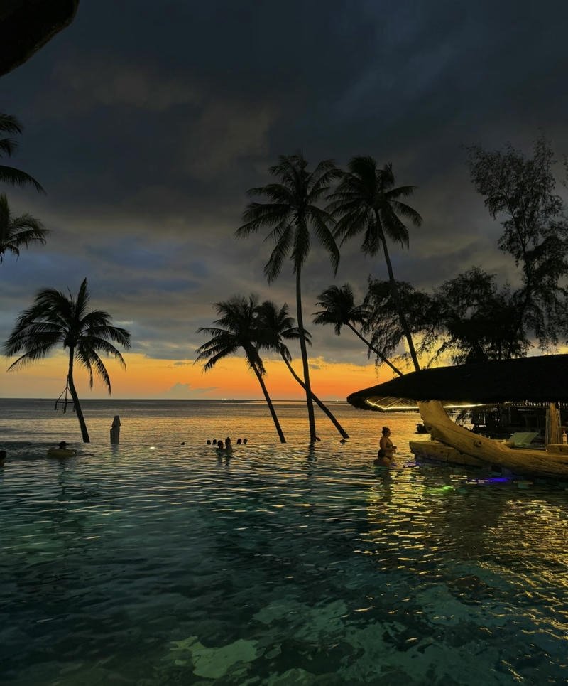 Golden hour beach scenery creating warm ocean aesthetic pfp