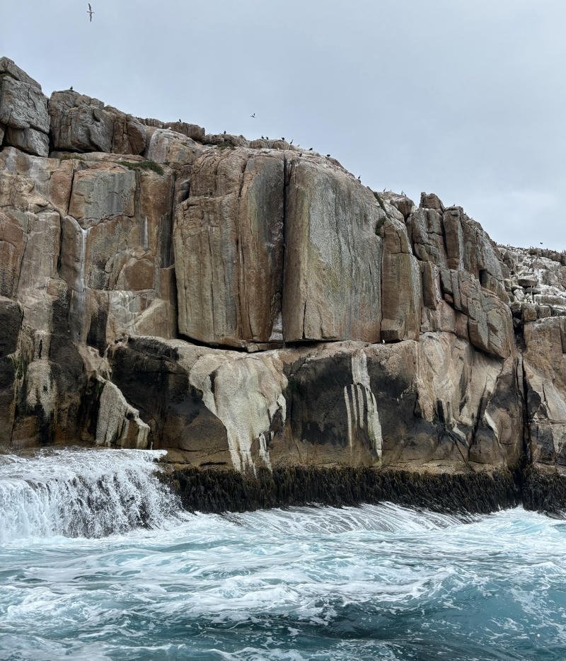 Minimal sea horizon portrait perfect ocean aesthetic pfp