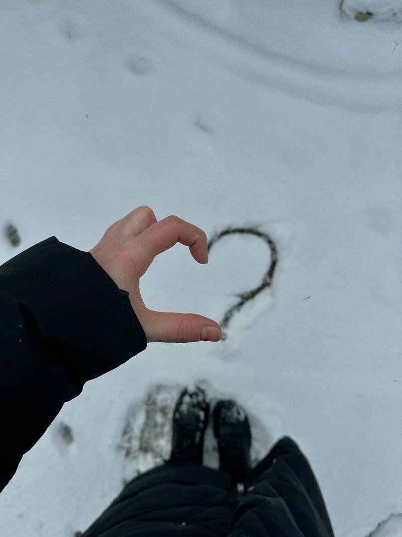 Snowy cabin scenery in forest creating cozy winter aesthetic pfp