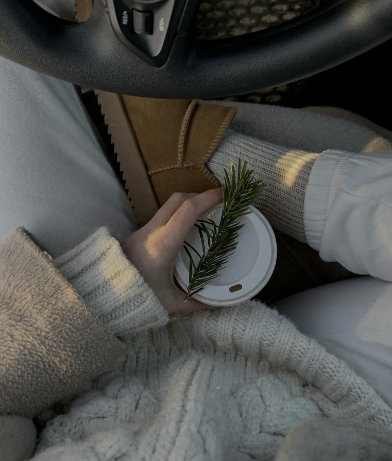 Soft vibe above snowfield forming calm winter aesthetic pfp