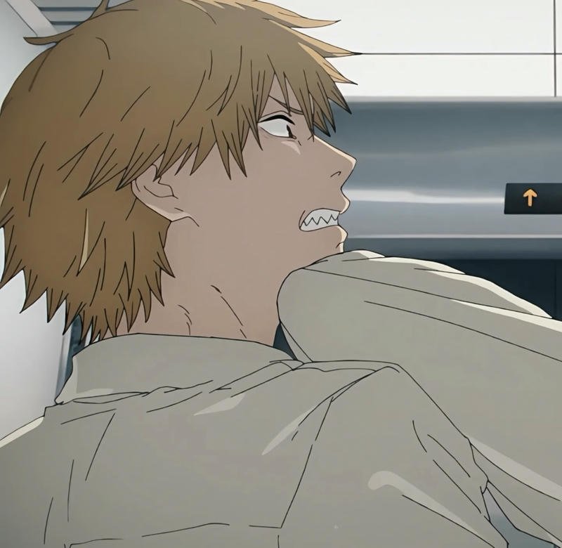 Unique anime identity using Denji pfp designs