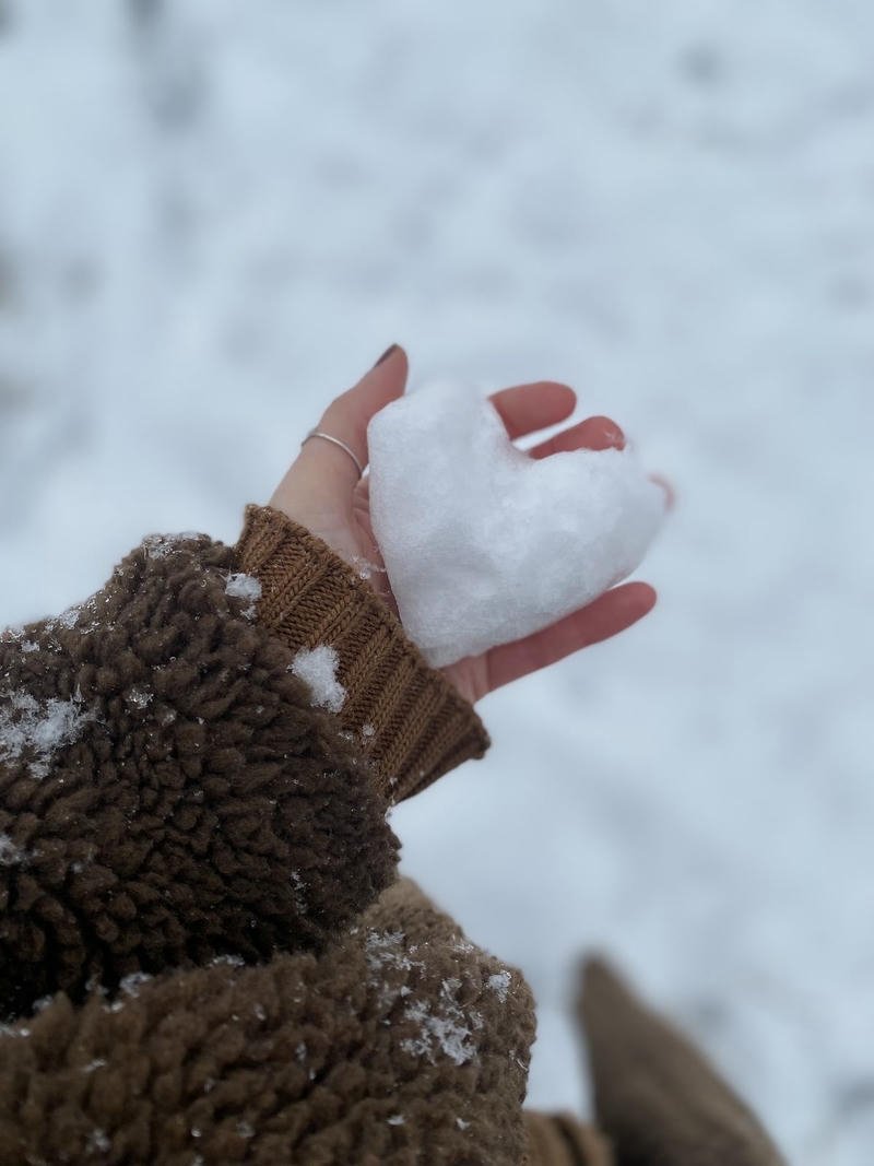 White snow covered trees glowing in sunrise winter aesthetic pfp