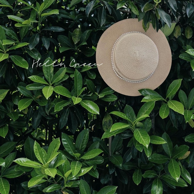 calm lake with mountain reflection nature aesthetic pfp profile