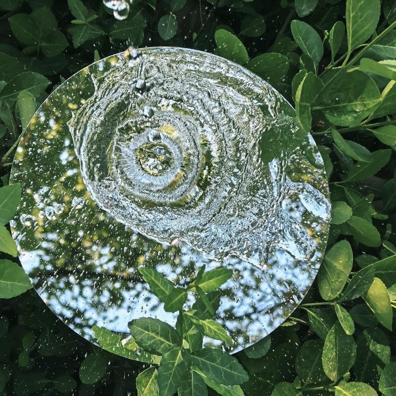 dreamy meadow flowers under sunset nature aesthetic pfp aesthetic