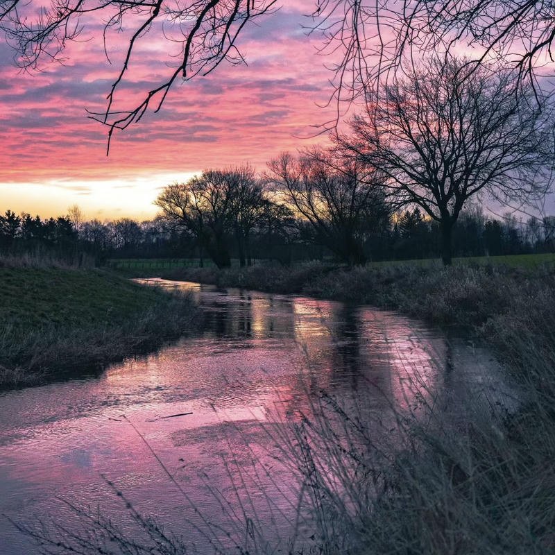 misty lake morning scenery nature aesthetic pfp profile