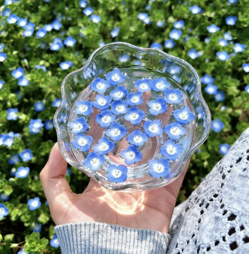 misty mountain road scenery nature aesthetic pfp aesthetic vibe