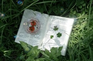 nature aesthetic thumbnail