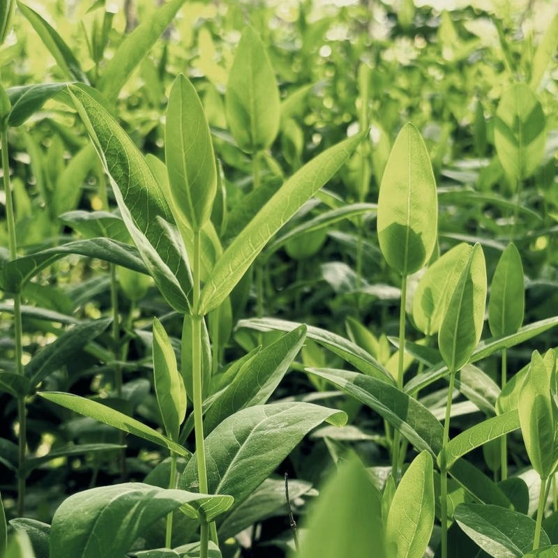 pastel sky over calm river nature aesthetic pfp aesthetic