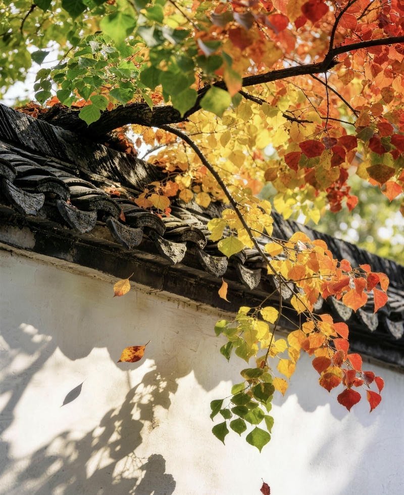 peaceful meadow with warm sunlight nature aesthetic pfp aesthetic