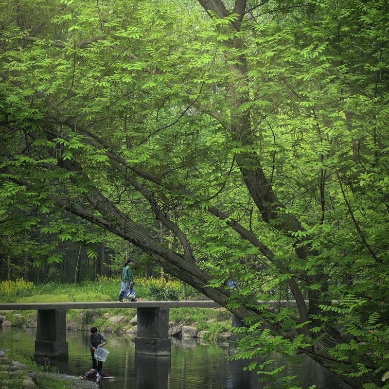 peaceful ocean waves under sunset sky nature aesthetic pfp