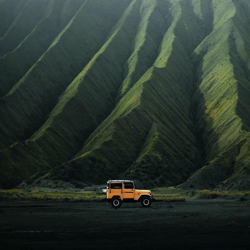 quiet forest trail in morning fog nature aesthetic pfp profile