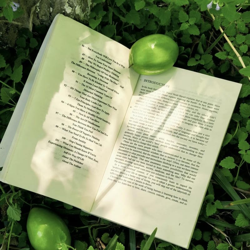 sunlight shining through forest trees nature aesthetic pfp aesthetic